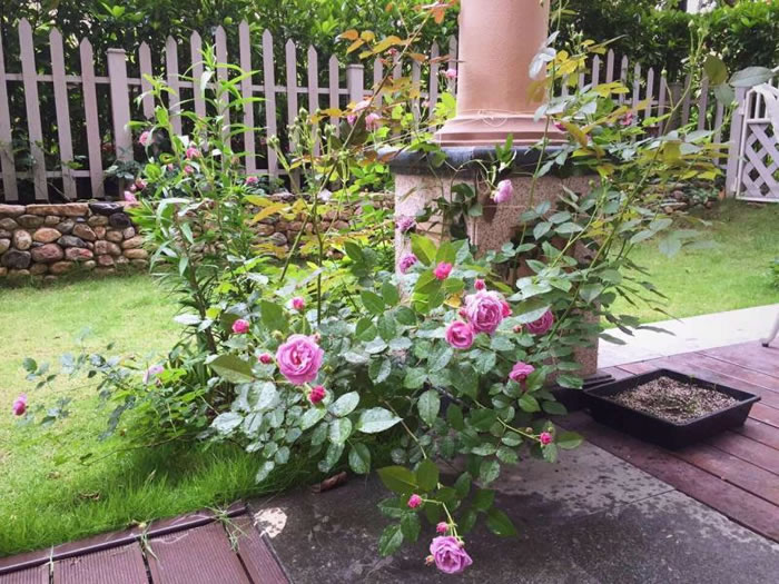 武汉塑木阳台.jpg 武汉塑木阳台.jpg